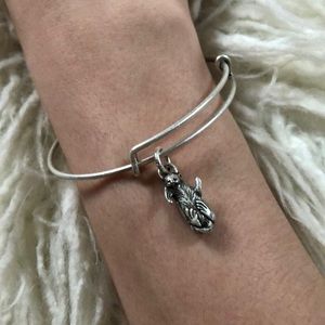 Alex & Ani Otter Friendship Bangle